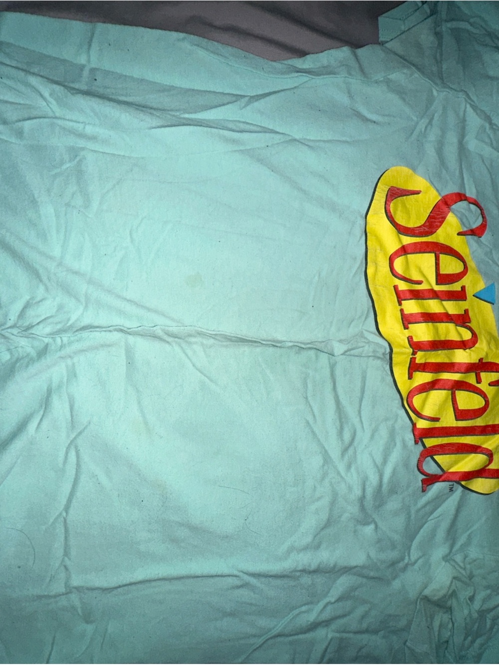 Seinfeld Short Sleeve Tee in Light Teal
